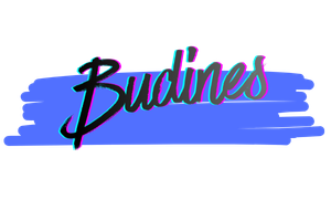 BUDINES